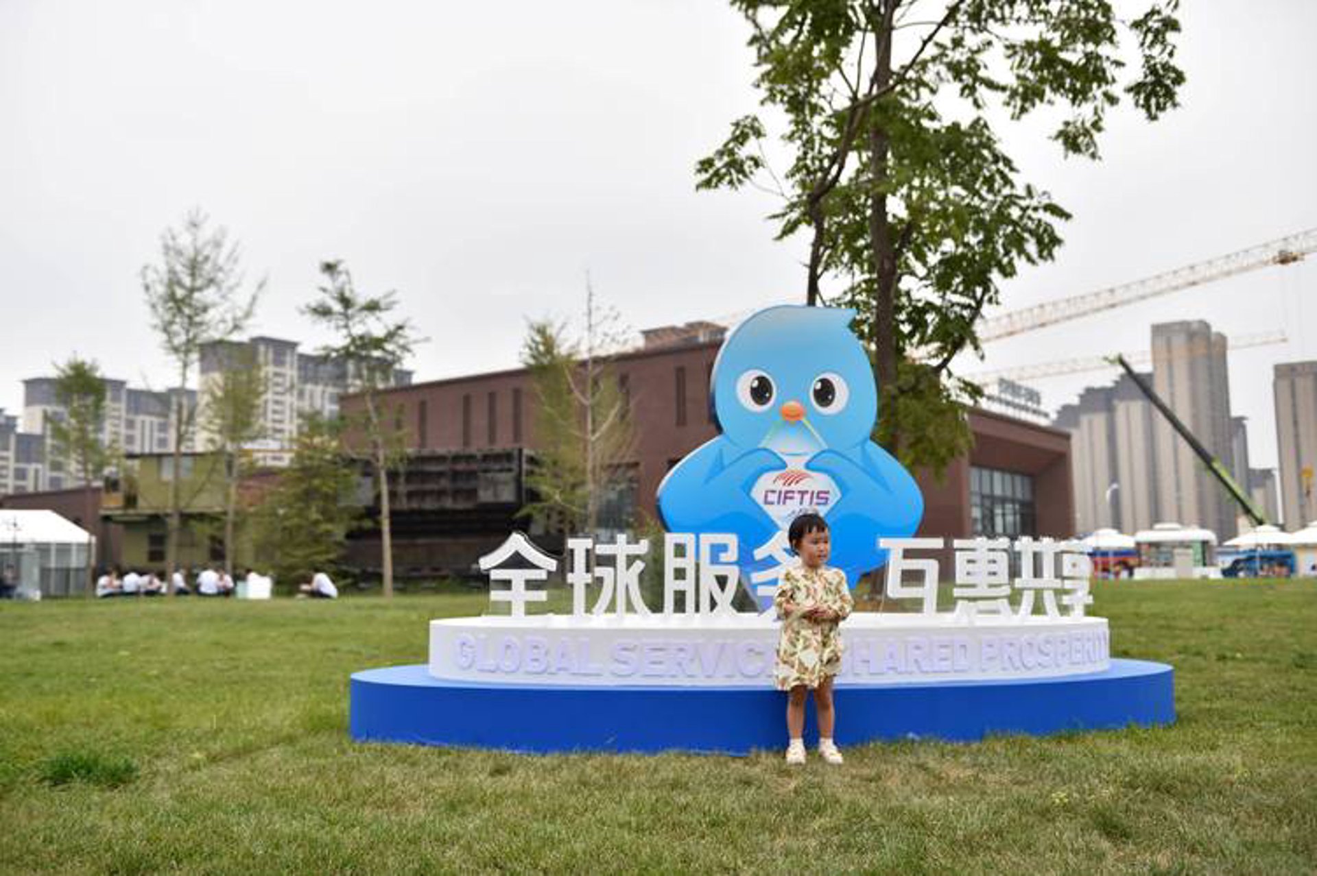 如何选购适合的参茸礼盒
